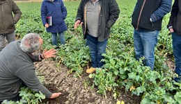 Hale Village Monitor Farm – Regenerative Agriculture, the journey and the research